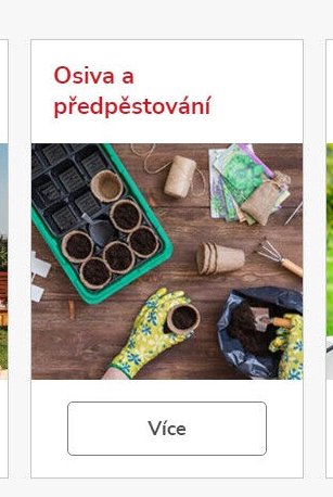 Osiva a předpěstování