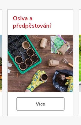 Osiva a předpěstování