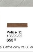 Police .32