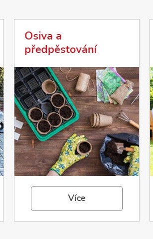 Osiva a předpěstování