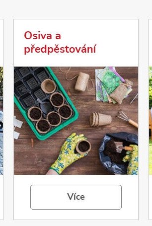 Osiva a předpěstování