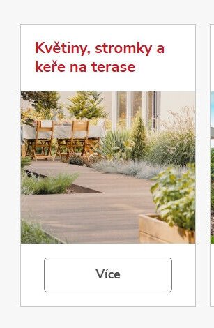 Květiny, stromky a keře na terase