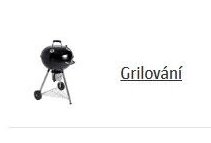 Grilování