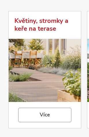 Květiny, stromky a keře na terase
