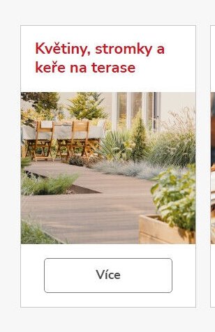 Květiny, stromky a keře na terase