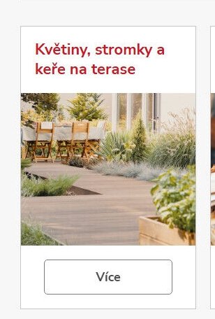 Květiny, stromky a keře na terase