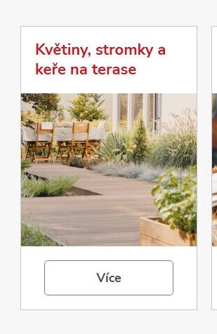 Květiny, stromky a keře na terase
