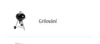 Grilování