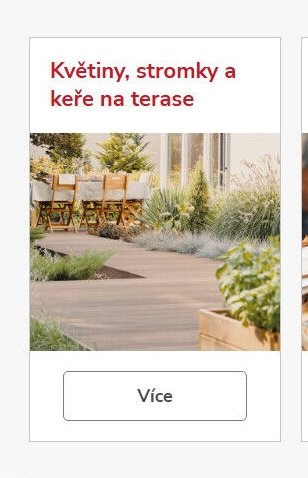 Květiny, stromky a keře na terase