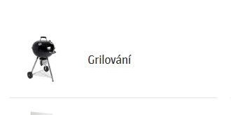 Grilování