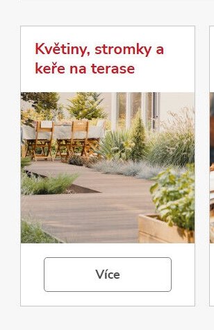 Květiny, stromky a keře na terase