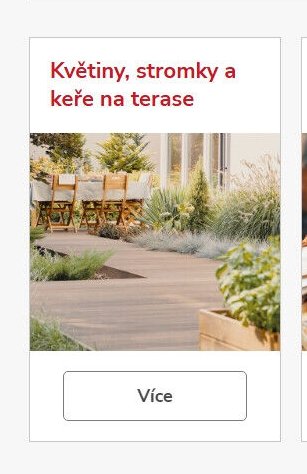Květiny, stromky a keře na terase