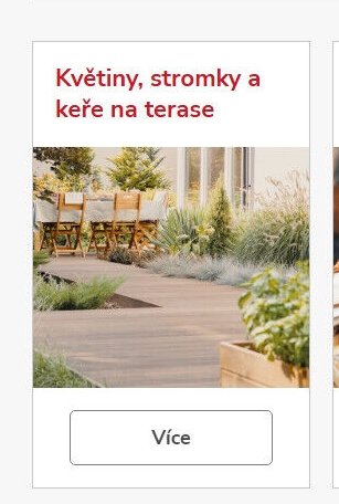 Květiny, stromky a keře na terase