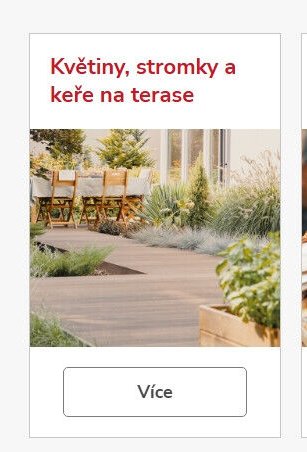 Květiny, stromky a keře na terase