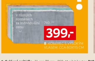 8 Koberec s vysokým vlasem, cca 60x115 cm