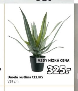 Umělá rostlina CELIUS