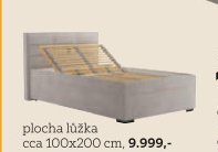 Plocha lůžka