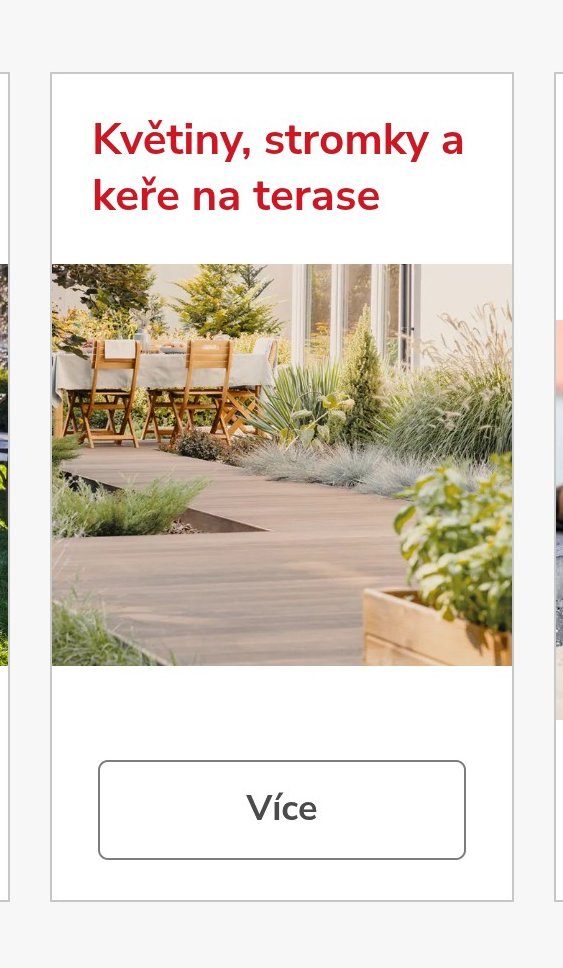 Květiny, stromky a keře na terase