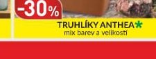 Truhlíky Anthea