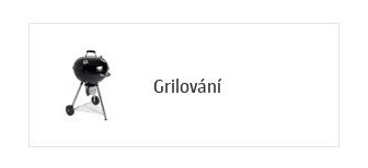 Grilování