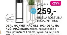 Umělá rostlina Eucalypthus II