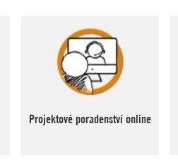 Projektové poradenství online