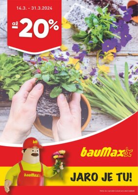 bauMax